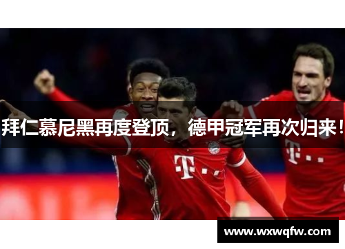 拜仁慕尼黑再度登顶，德甲冠军再次归来！