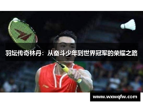 羽坛传奇林丹：从奋斗少年到世界冠军的荣耀之路